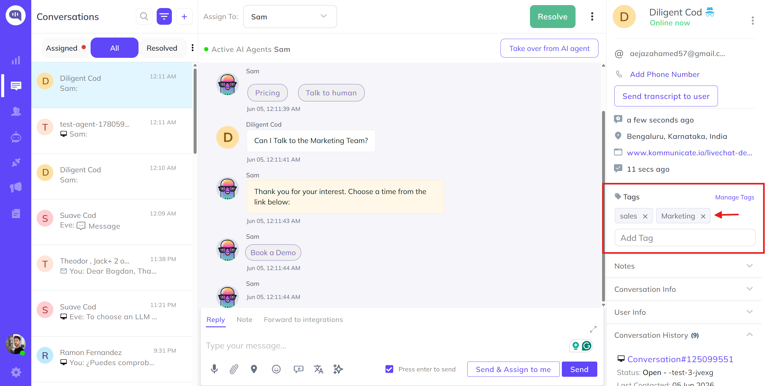 Auto-tagging the conversation through AI agent
