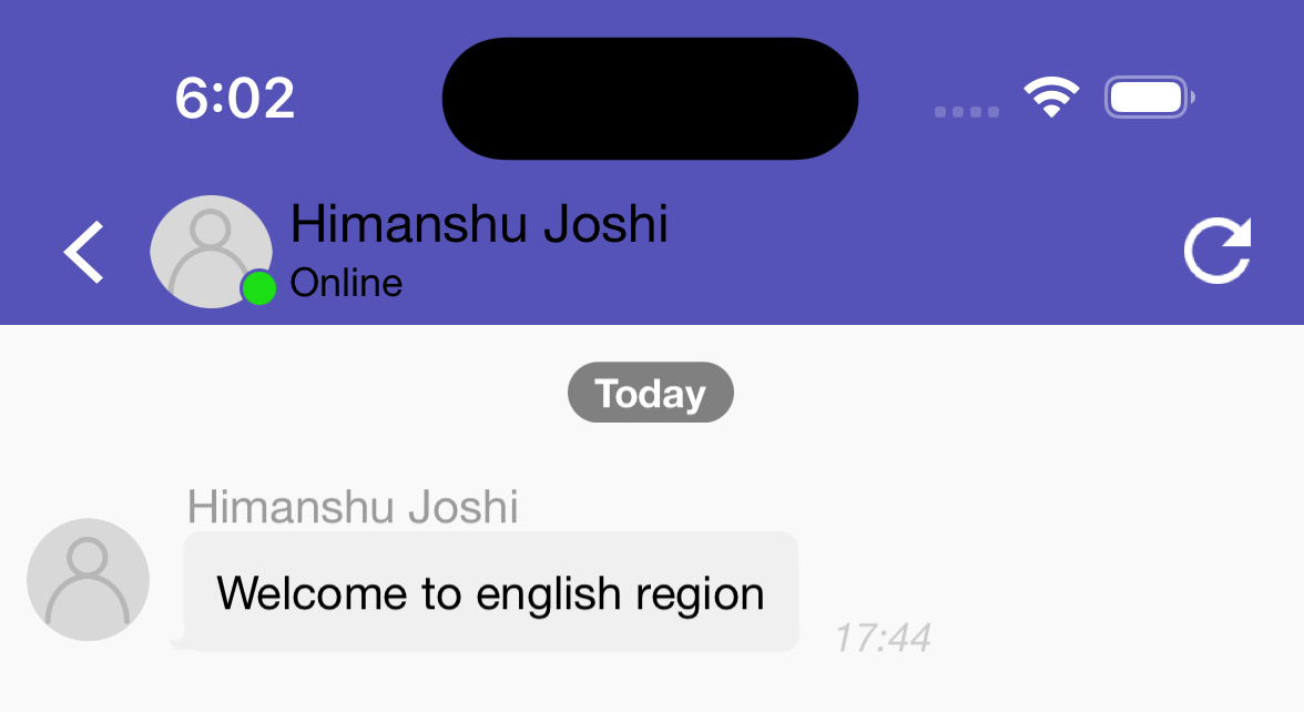 faqButtonDisabledConversationView.png